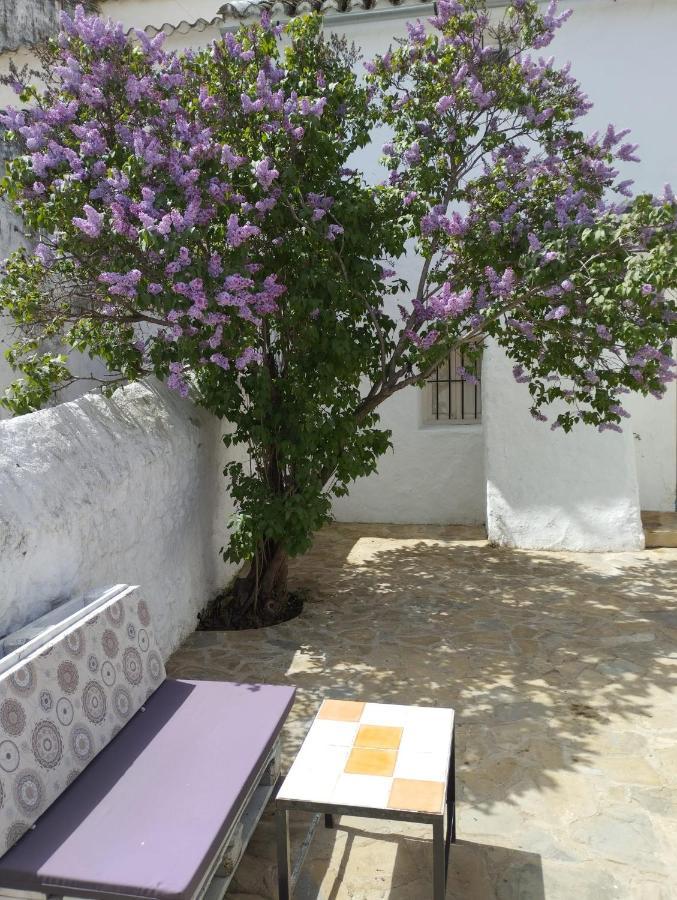 Canete la Real Casa Bejar, Tranquila Casa Con Chimenea, Patios, Junto A La Piscina 빌라 외부 사진